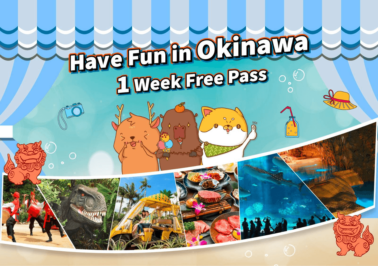 Have Fun In Okinawa