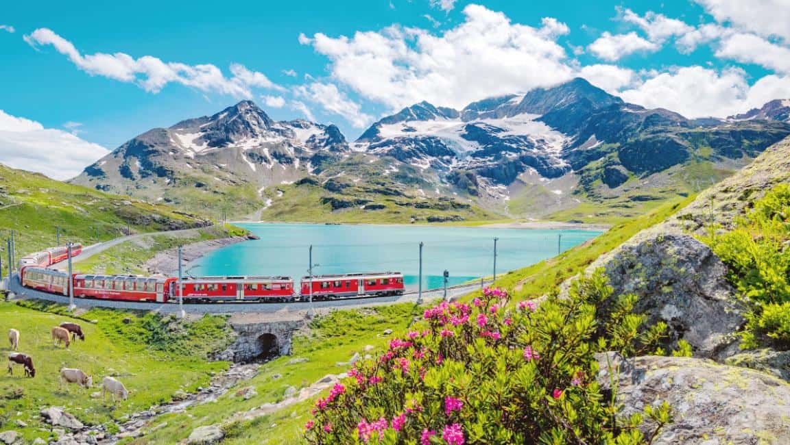 【Eurail 歐洲鐵路】瑞士半價卡 Swiss Half Fare Card 