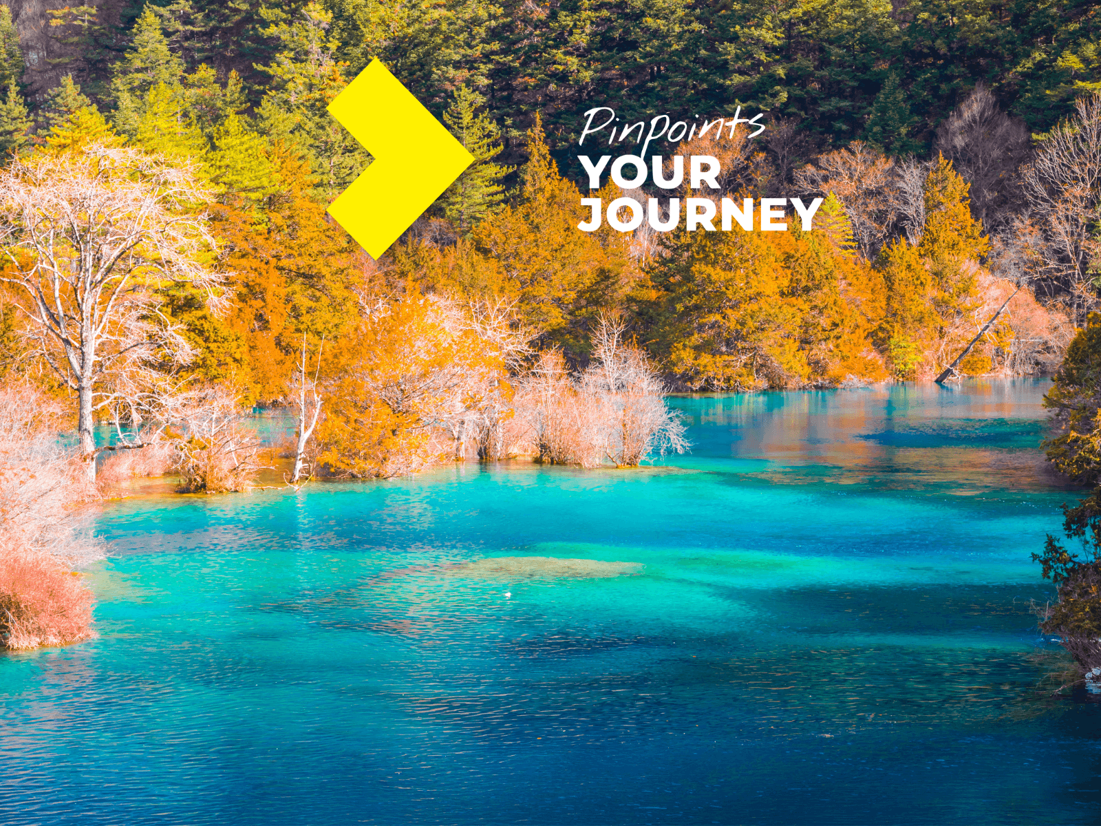 Texpert Travel — book flights, hotels, cruises and tour packages online worldwide