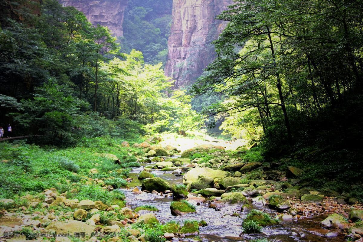 Tour image